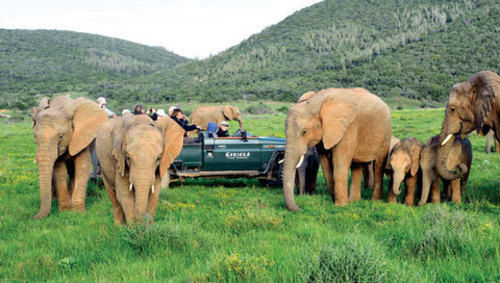 Kariega Game Reserve Settlers Drift Александрия Экстерьер фото